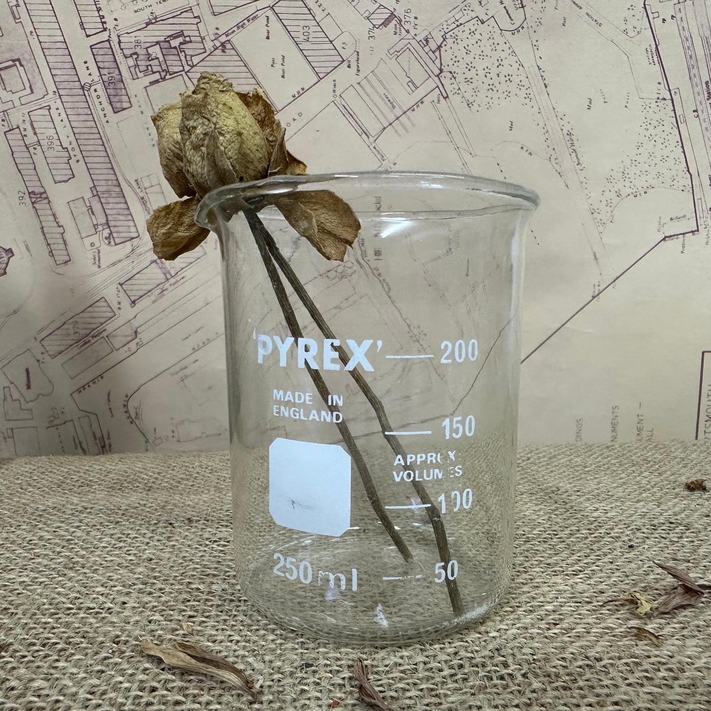 Pyrex 250ML Apothecary Laboratory Beaker - The Blind Mole