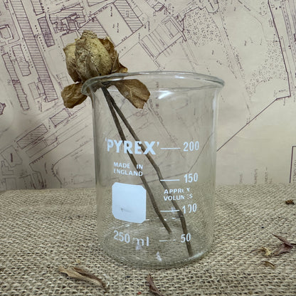 Pyrex 250ML Apothecary Laboratory Beaker - The Blind Mole