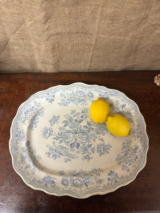 Wedgwood Victorian Platter Asiatic Pheasant The Blind Mole