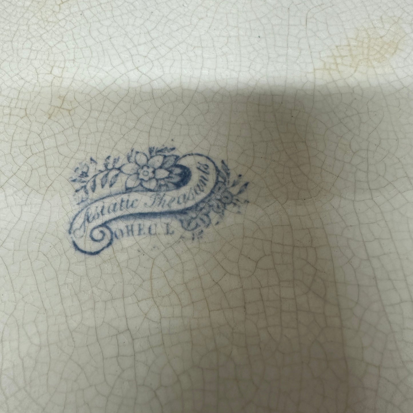 Wedgwood Victorian Platter Asiatic Pheasant The Blind Mole