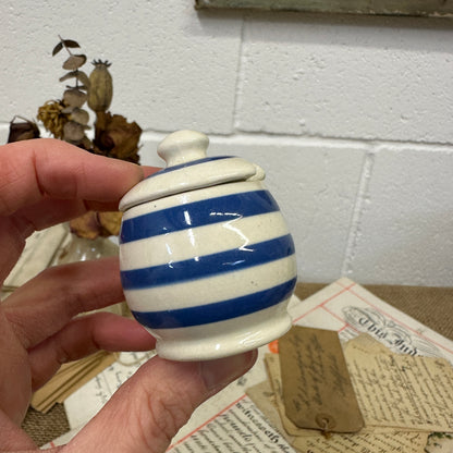 Blue & White Cornish Ware Stripped Mustard Pot