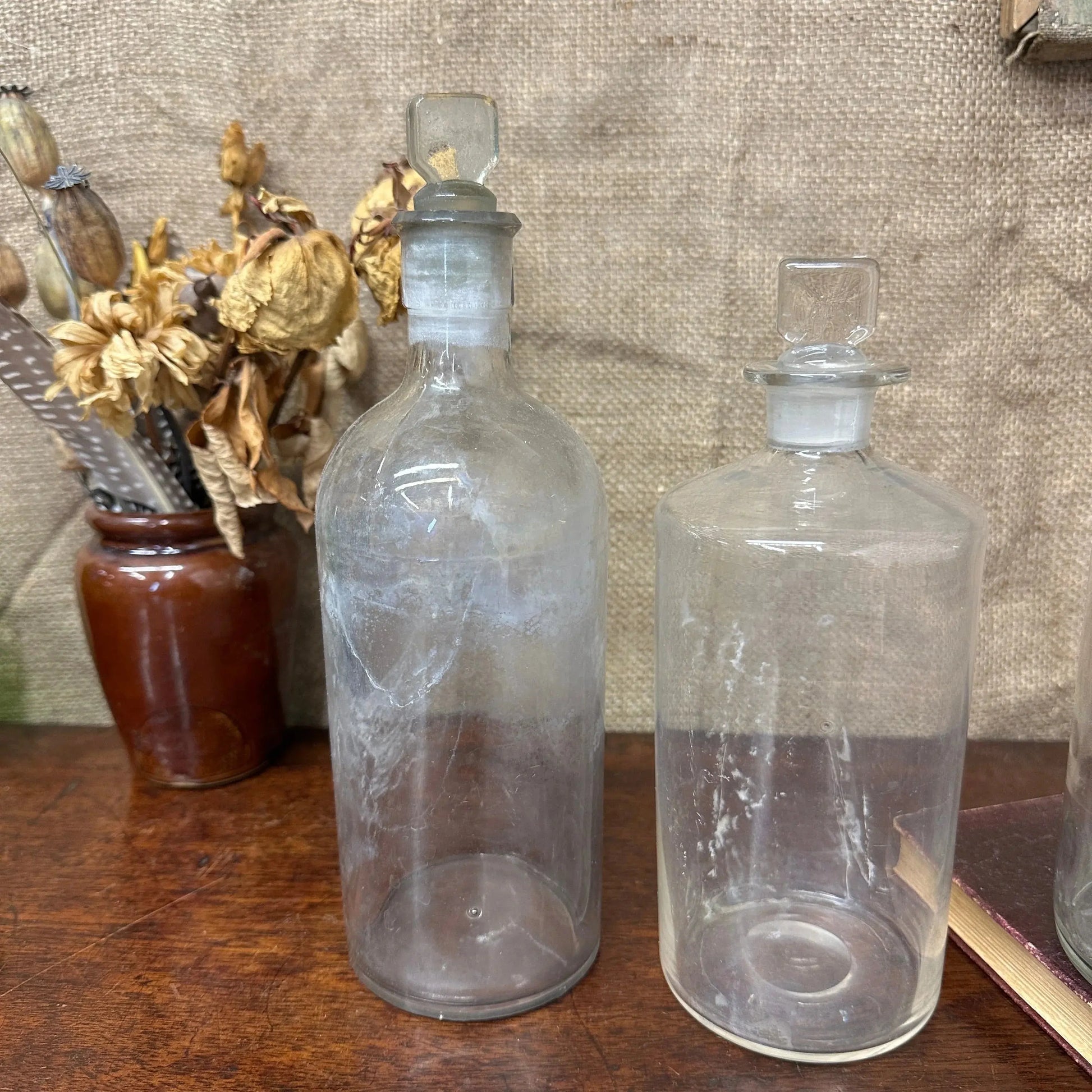 Vintage Glass Apothecary Propagating Bottles The Blind Mole