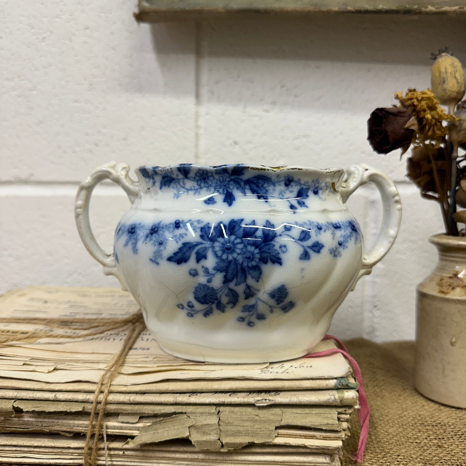 Flow Blue Sugar Bowl Pot - The Blind Mole