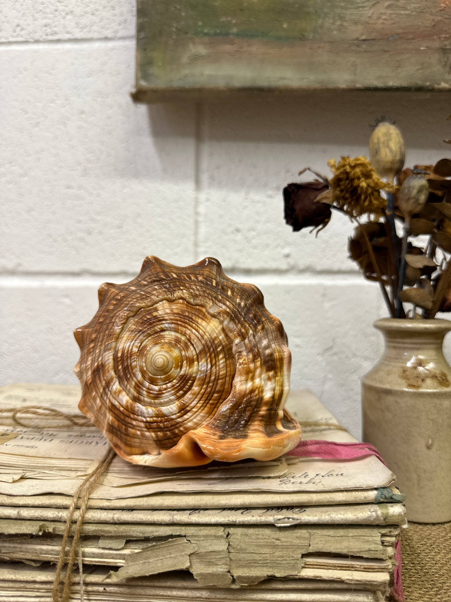 Antique Queen Helmet Shell