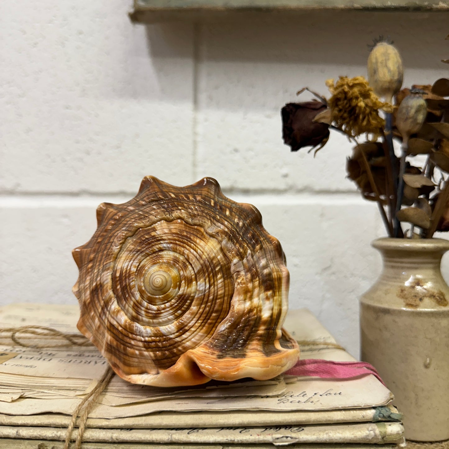 Antique Queen Helmet Shell