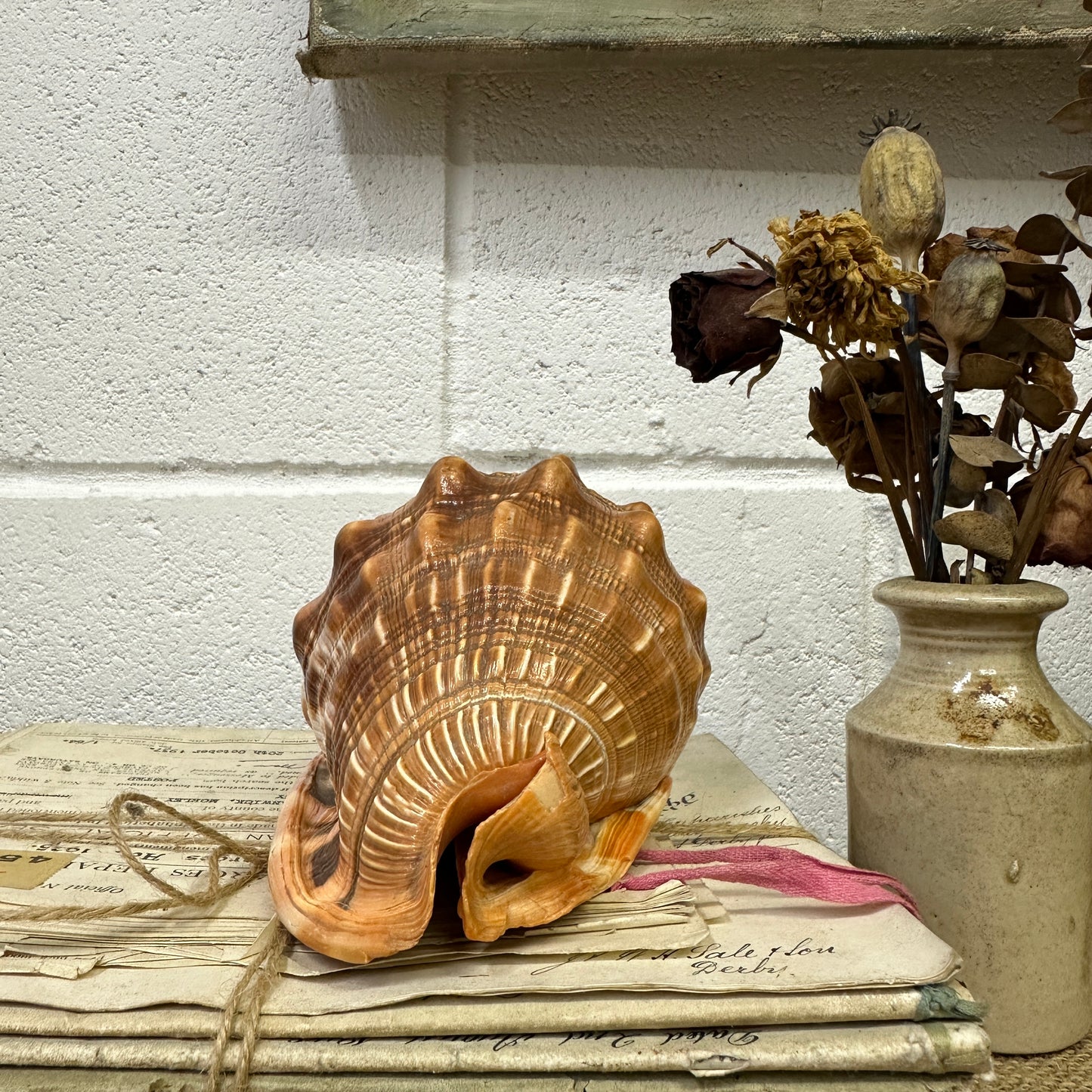 Antique Queen Helmet Shell