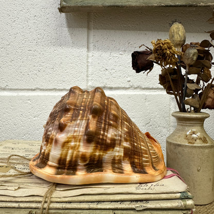 Antique Queen Helmet Shell