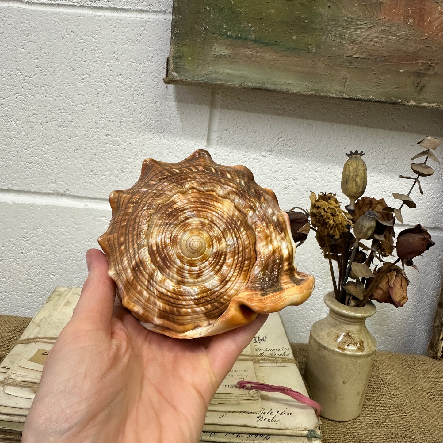 Antique Queen Helmet Shell