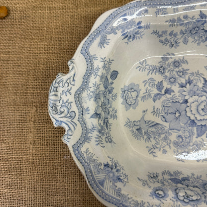Wedgwood Victorian Serving Dish Asiatic Pheasant - The Blind Mole