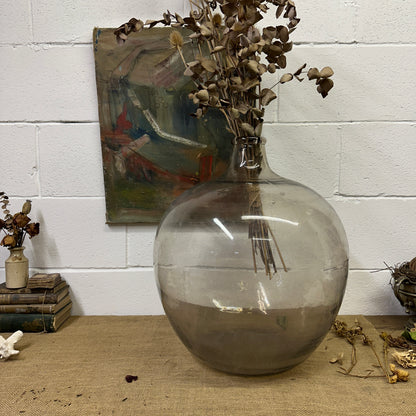 Huge Antique Carboy Demijohn Terrarium - The Blind Mole