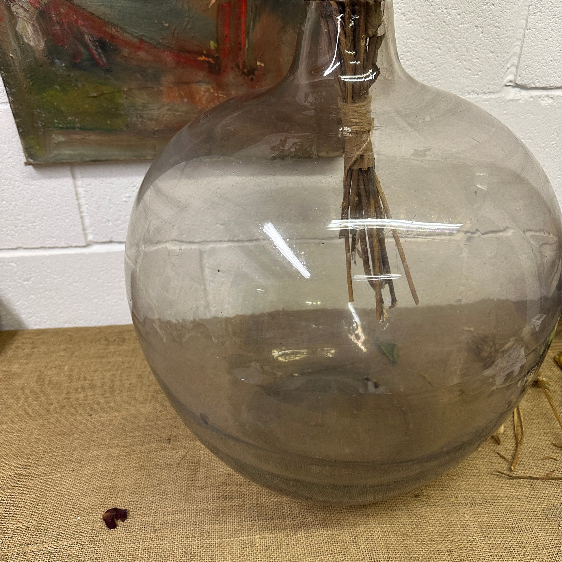 Huge Antique Carboy Demijohn Terrarium - The Blind Mole
