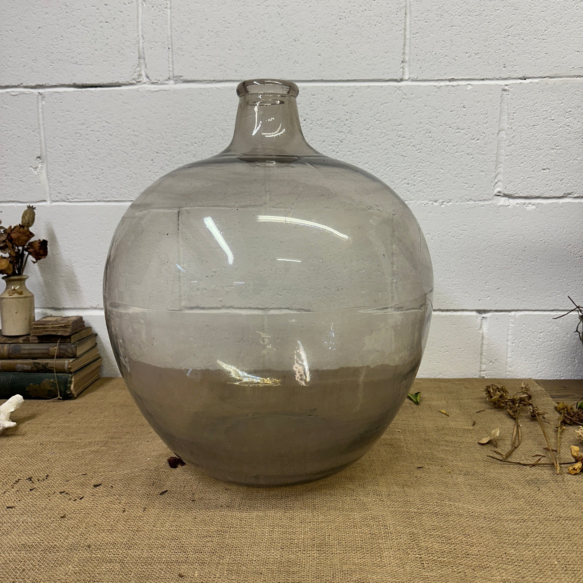 Huge Antique Carboy Demijohn Terrarium - The Blind Mole