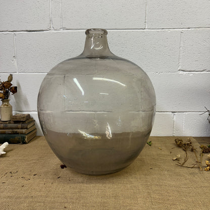 Huge Antique Carboy Demijohn Terrarium - The Blind Mole