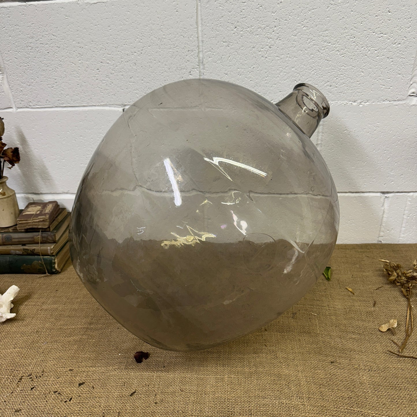 Huge Antique Carboy Demijohn Terrarium - The Blind Mole