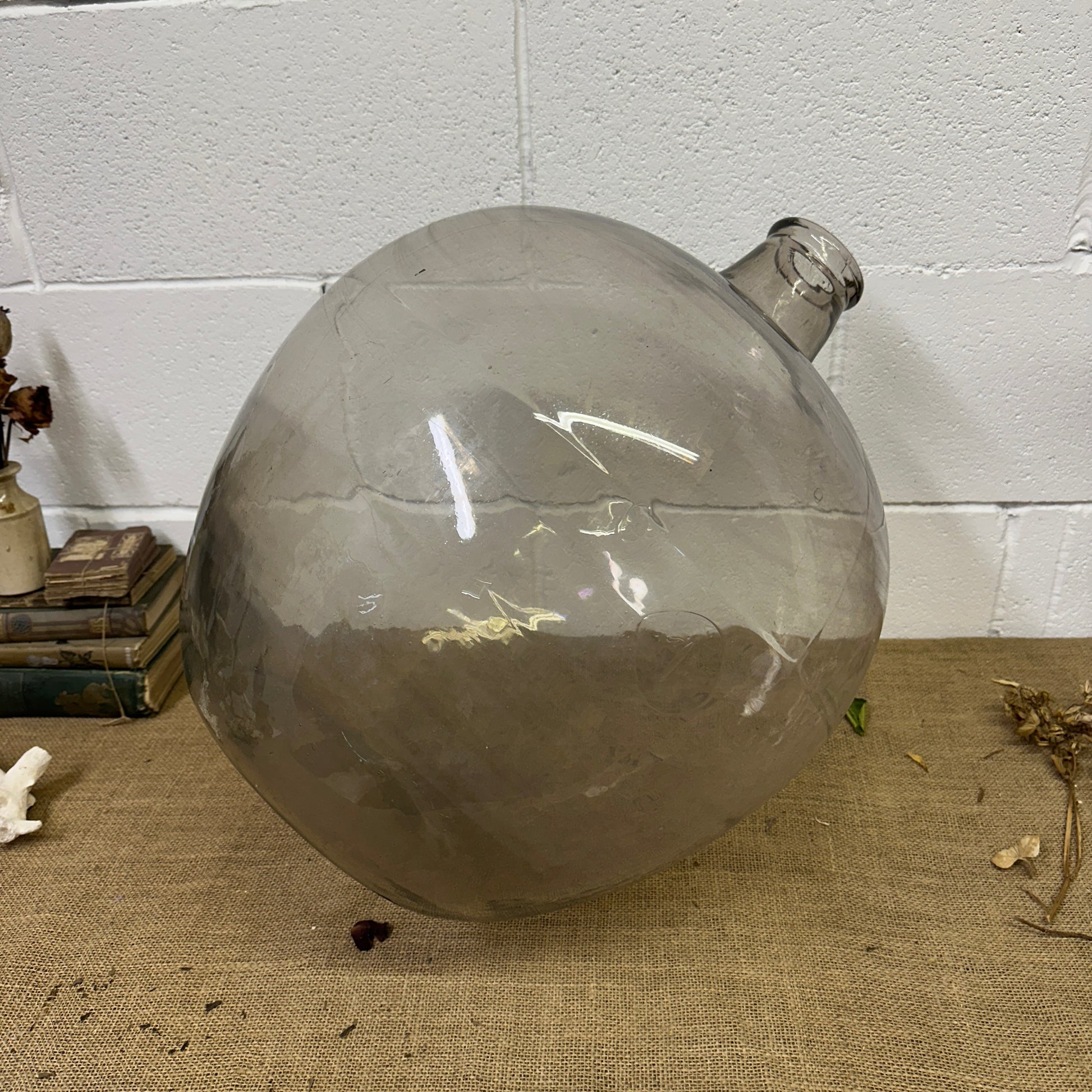 Huge Antique Carboy Demijohn Terrarium - The Blind Mole
