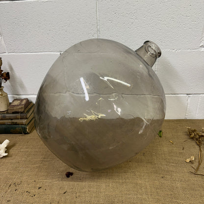 Huge Antique Carboy Demijohn Terrarium - The Blind Mole