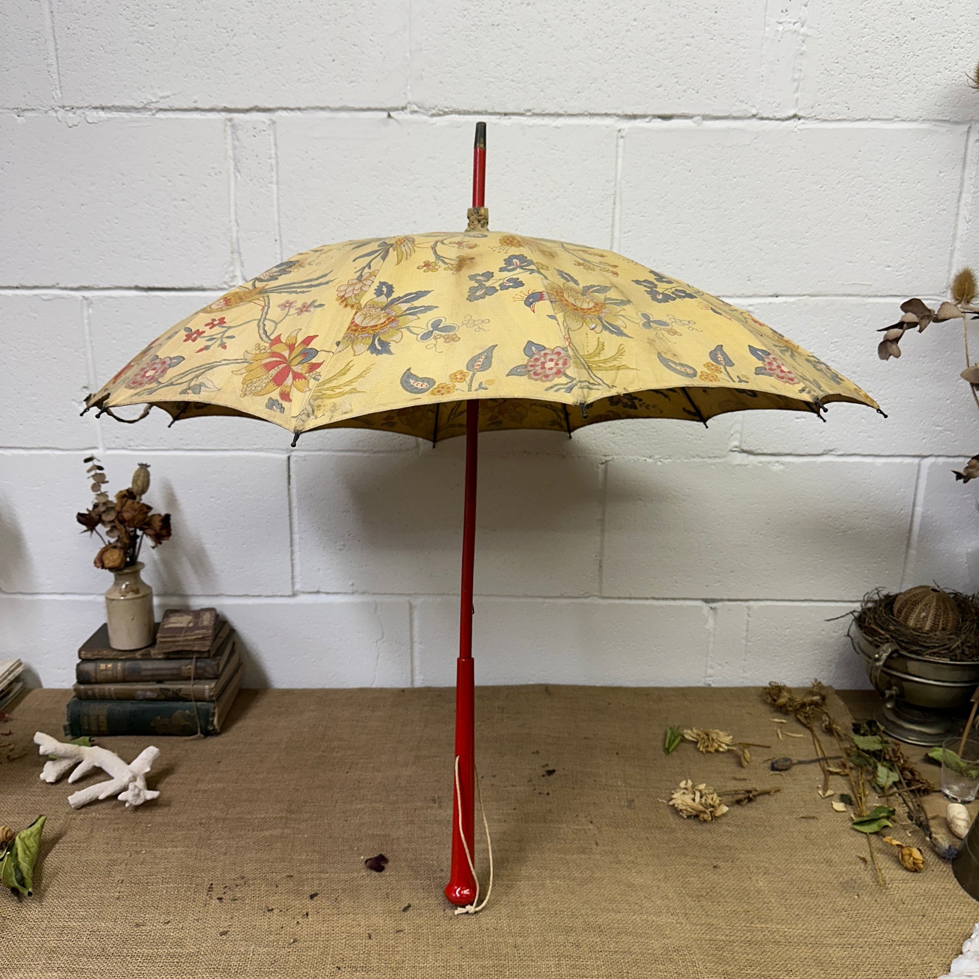 Vintage Cotton Parasol - The Blind Mole