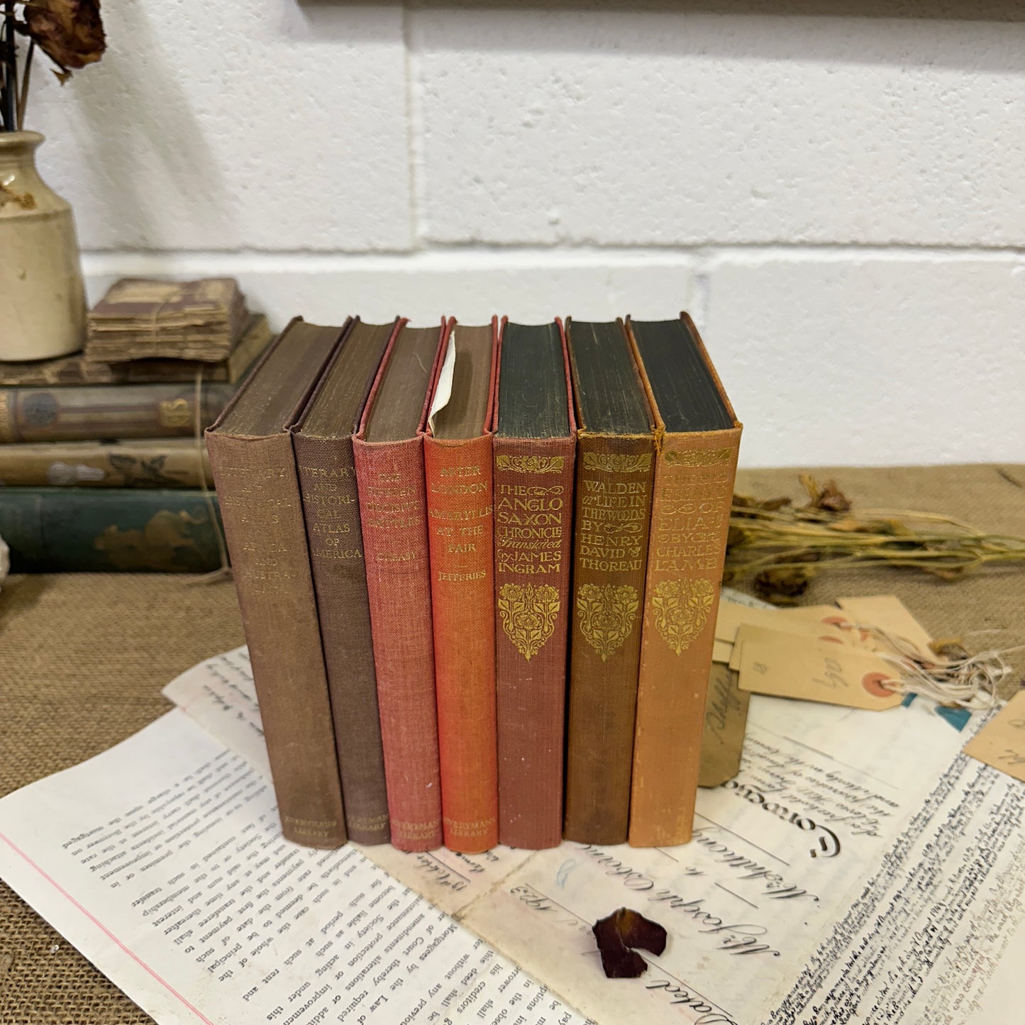 Coloured Book Stack Red Tones - The Blind Mole