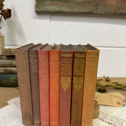 Coloured Book Stack Red Tones - The Blind Mole