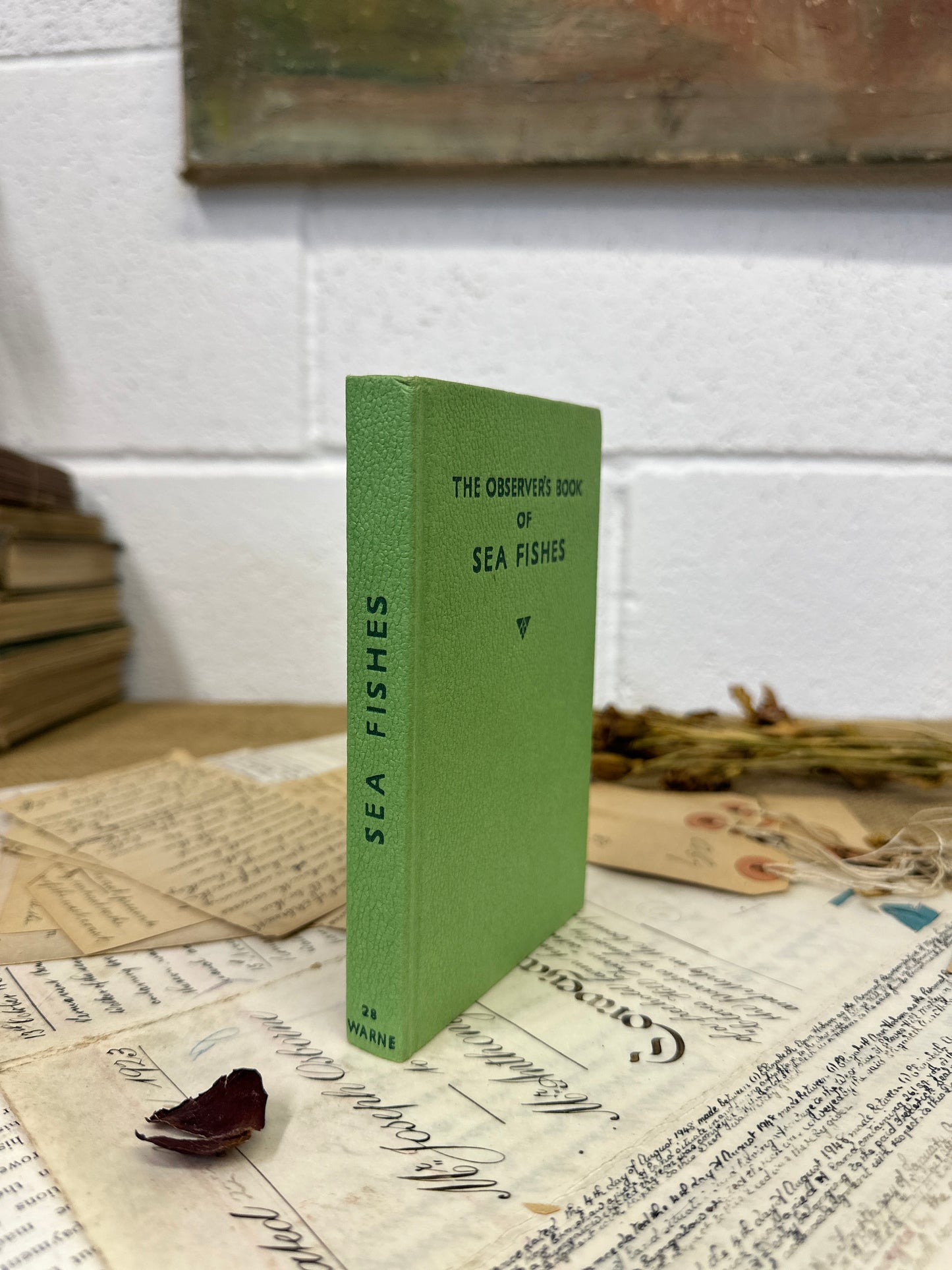 The observer’s book Sea Fishes - The Blind Mole