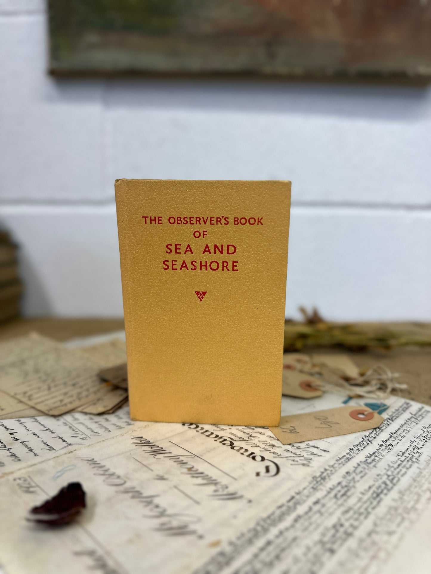 The observer’s book Sea & Seashore - Title Top to Bottom - The Blind Mole