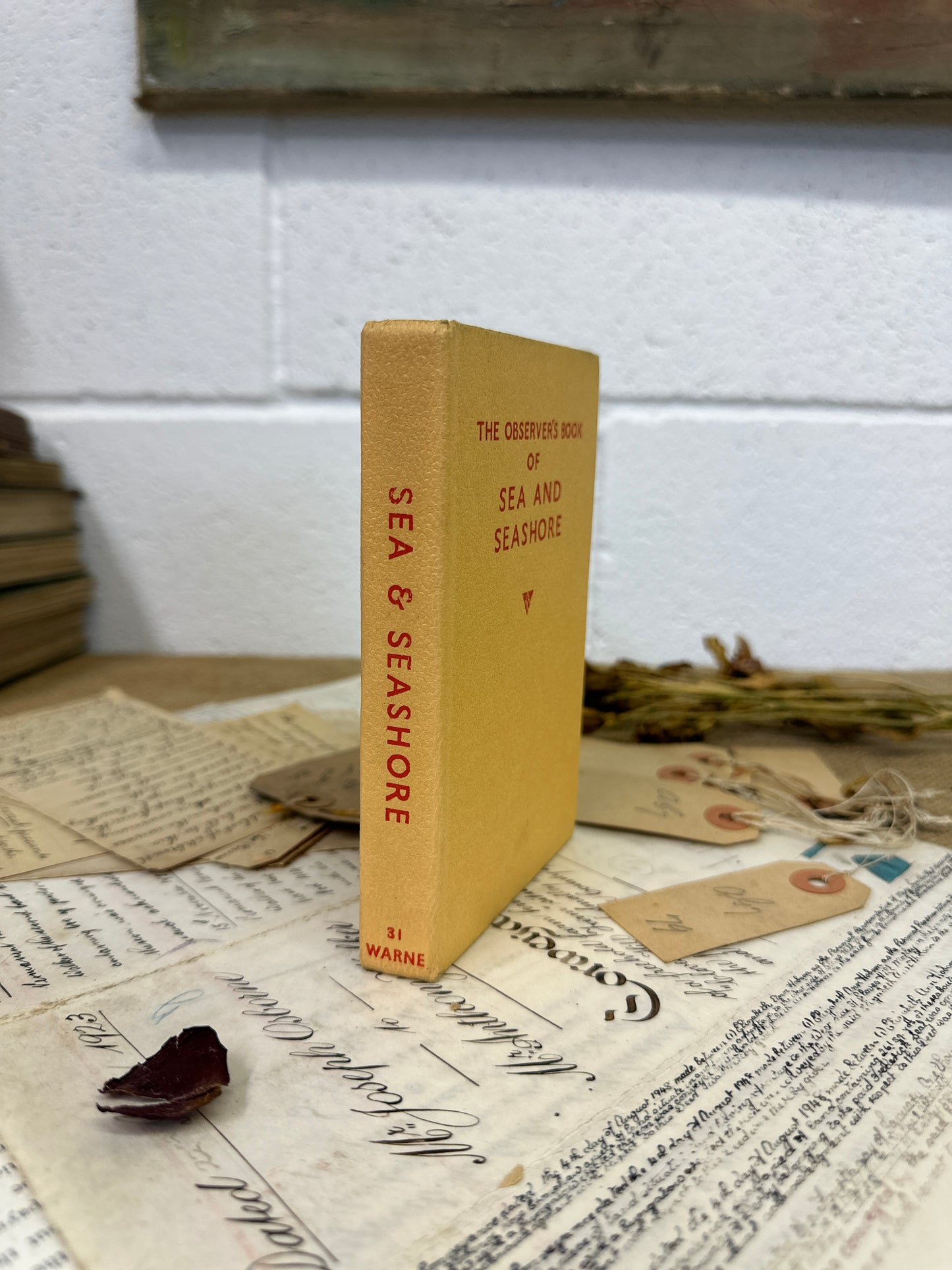 The observer’s book Sea & Seashore - Title Top to Bottom - The Blind Mole