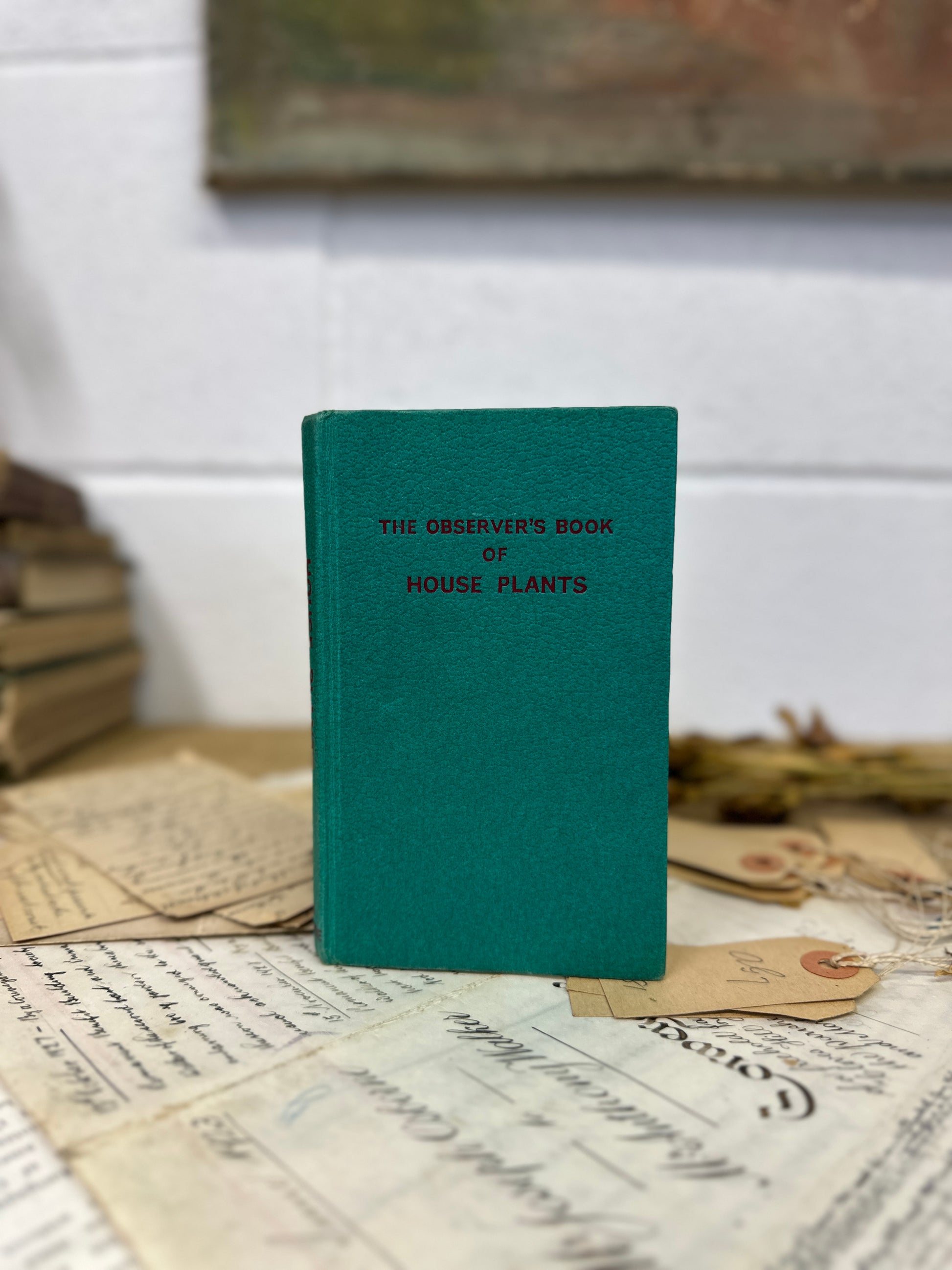 The observer’s book House Plants - Tile Top to Bottom - The Blind Mole