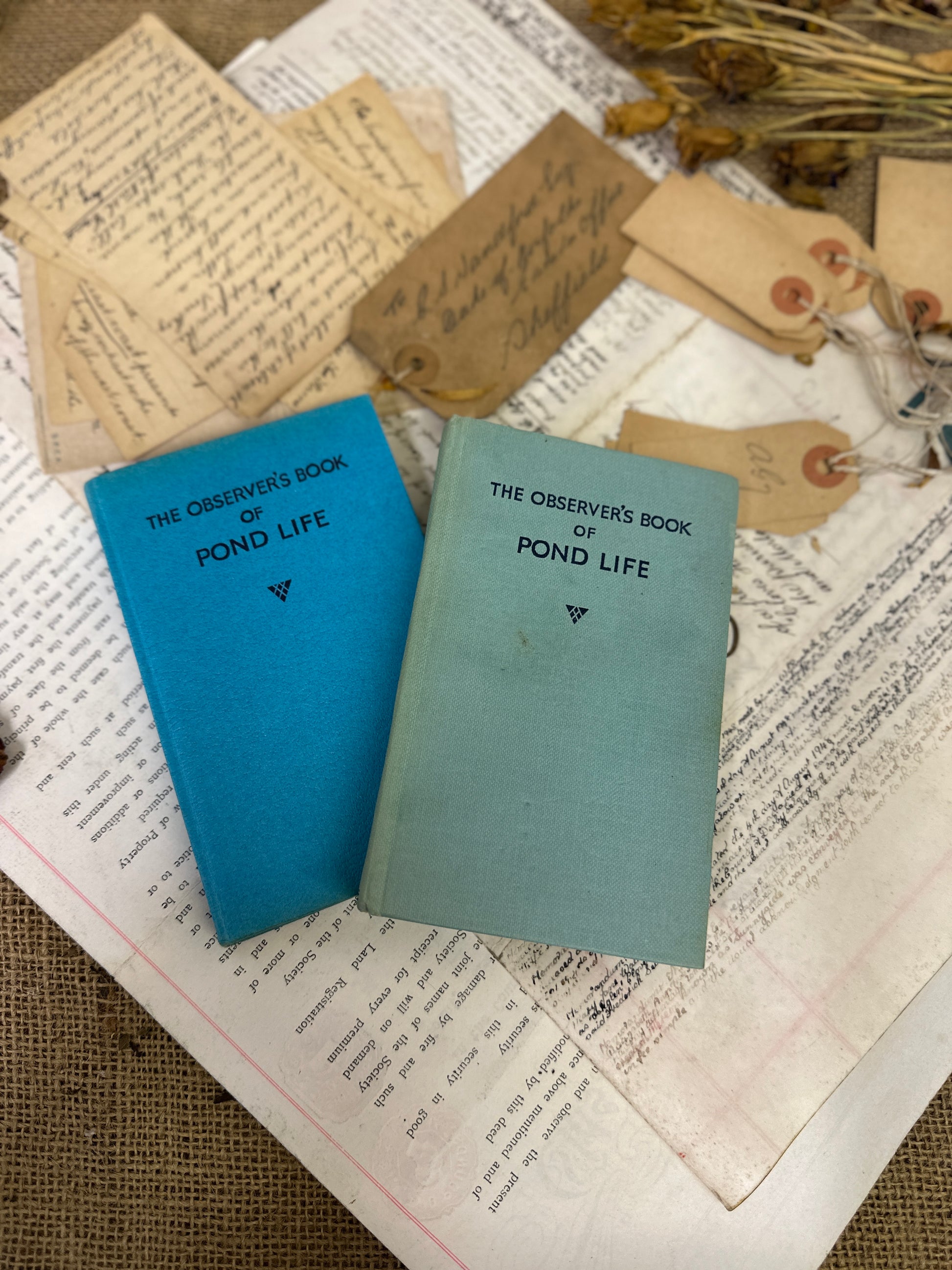 The observer’s book Pond Life - Title Bottom to Top - The Blind Mole