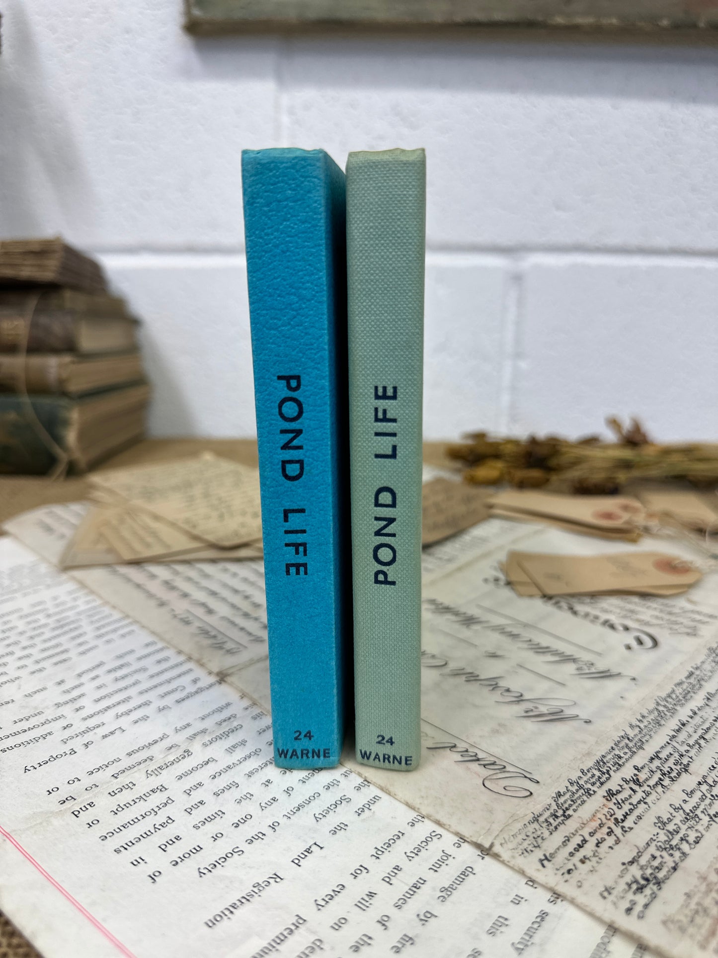 The observer’s book Pond Life - Title Bottom to Top - The Blind Mole