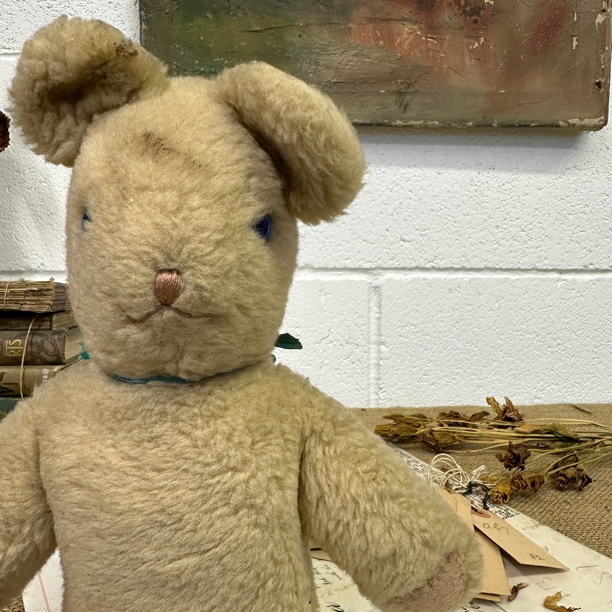 Vintage Teddy Bear - The Blind Mole