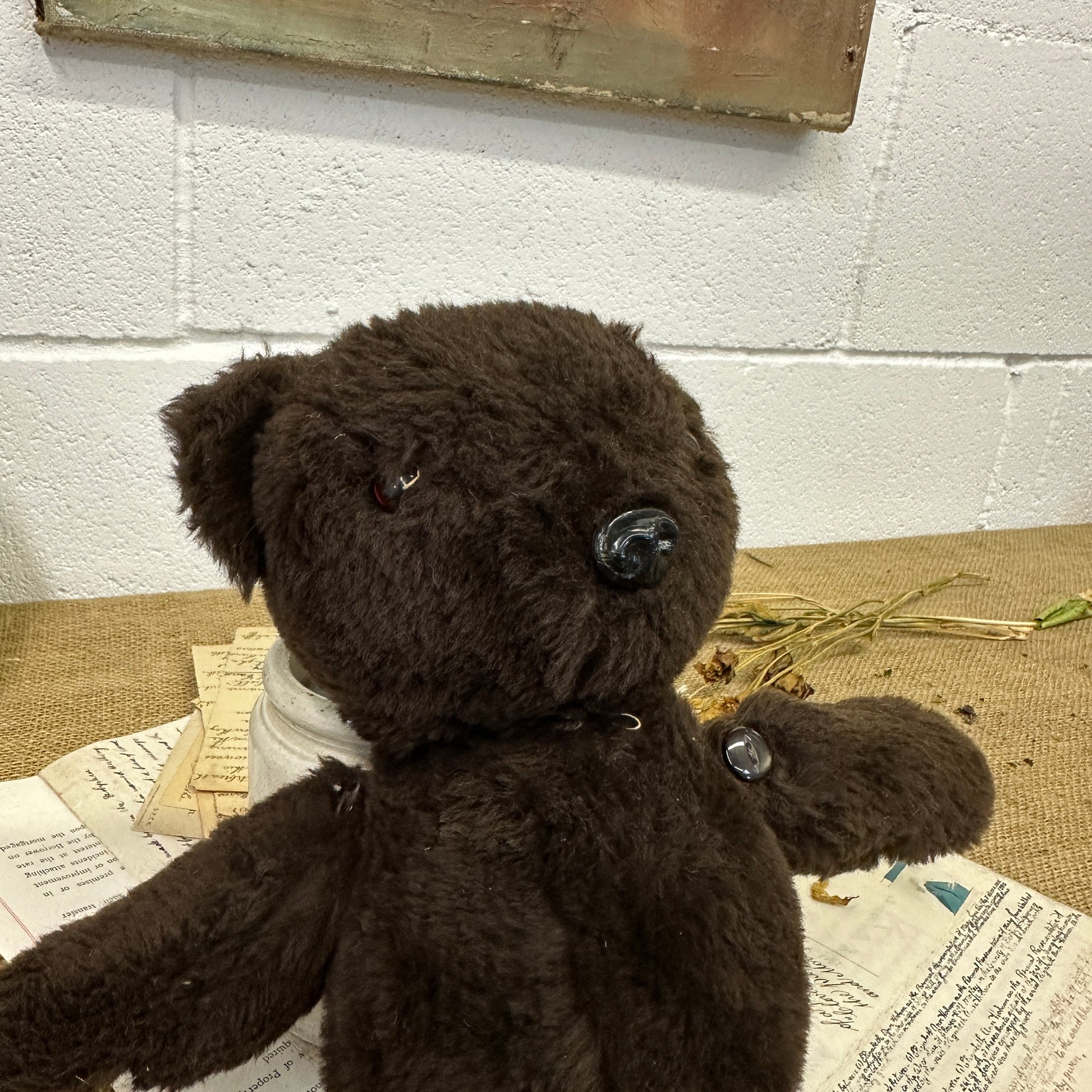 Dark Brown Vintage Teddy Bear - The Blind Mole