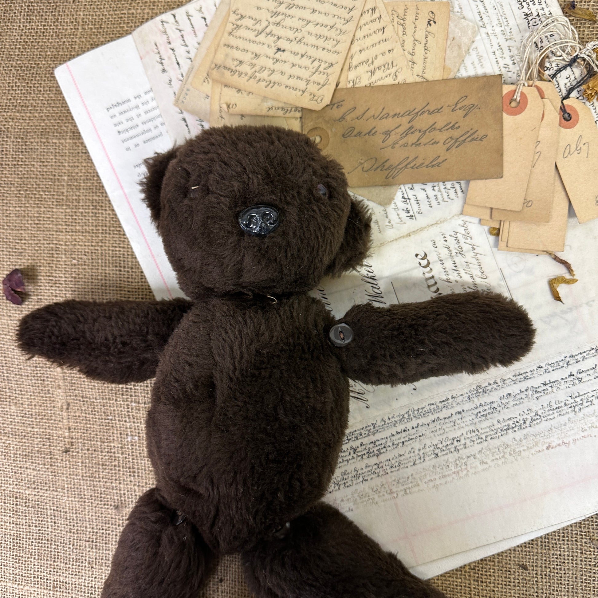 Dark Brown Vintage Teddy Bear - The Blind Mole