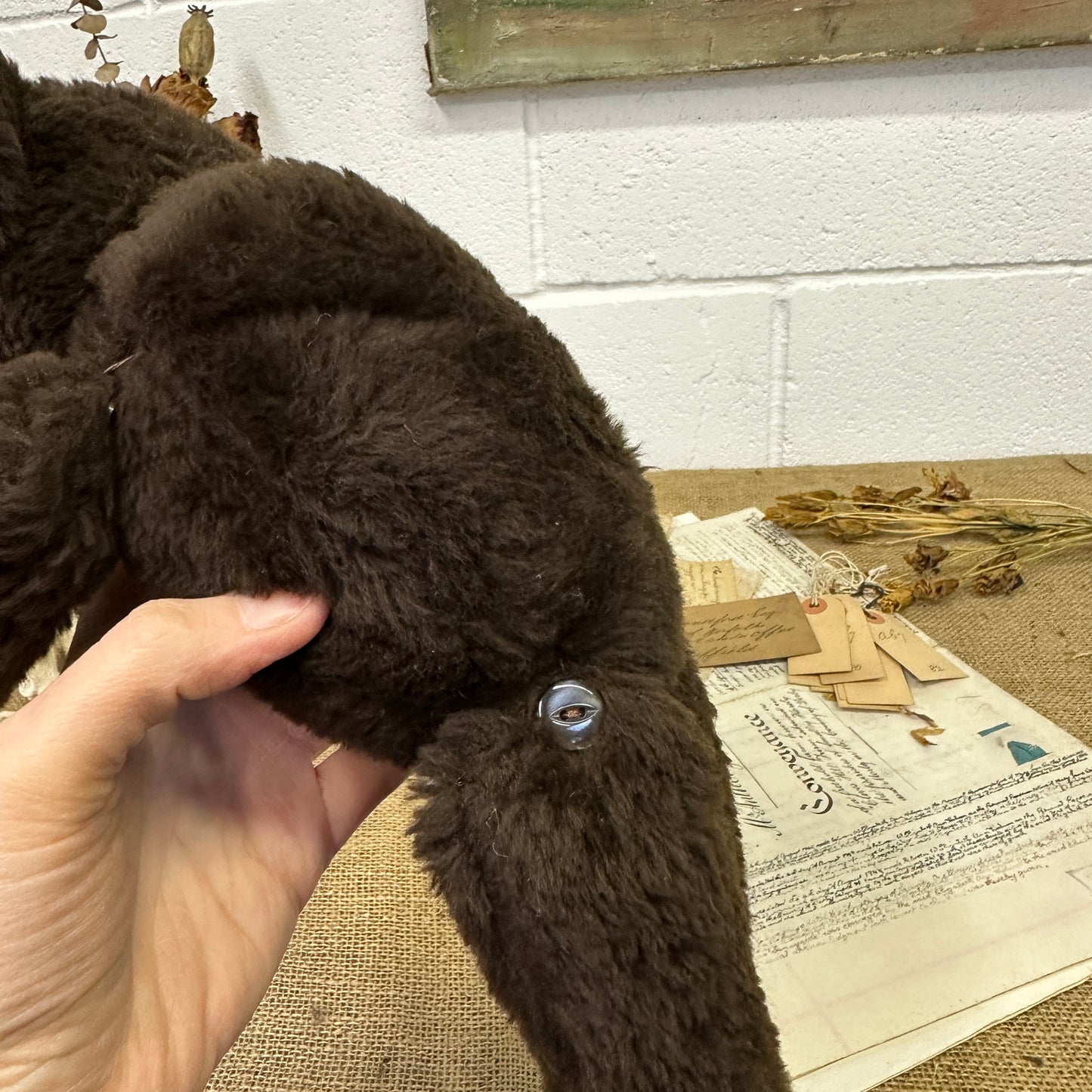 Dark Brown Vintage Teddy Bear - The Blind Mole