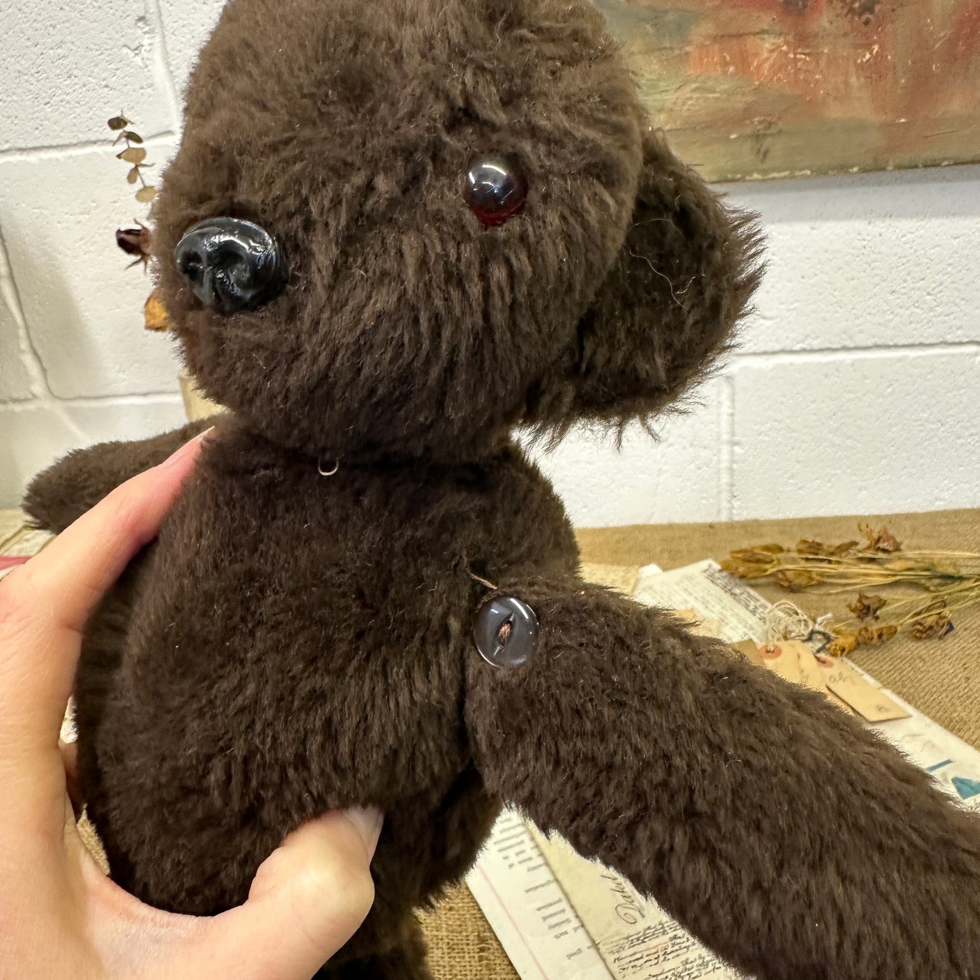 Dark Brown Vintage Teddy Bear - The Blind Mole
