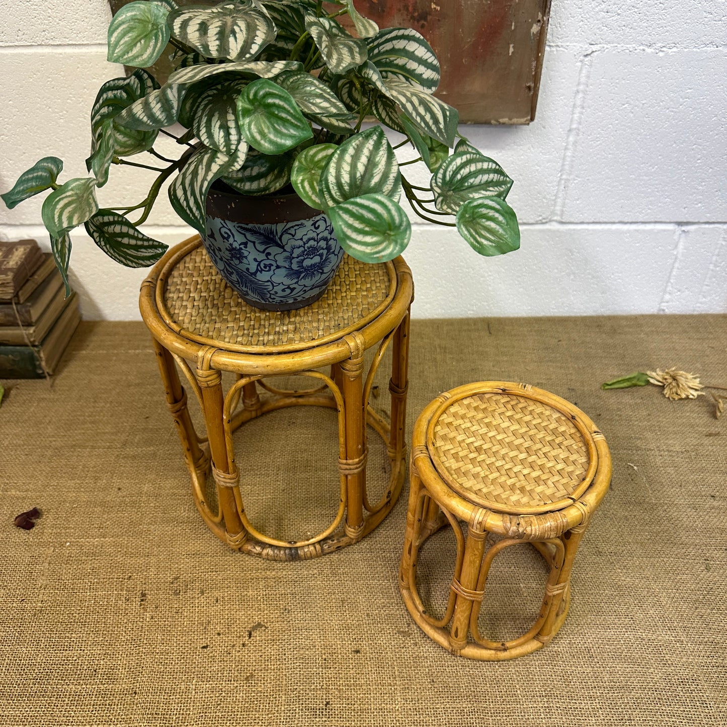 Pair Boho Bamboo Plant Stands Nesting Tables - The Blind Mole
