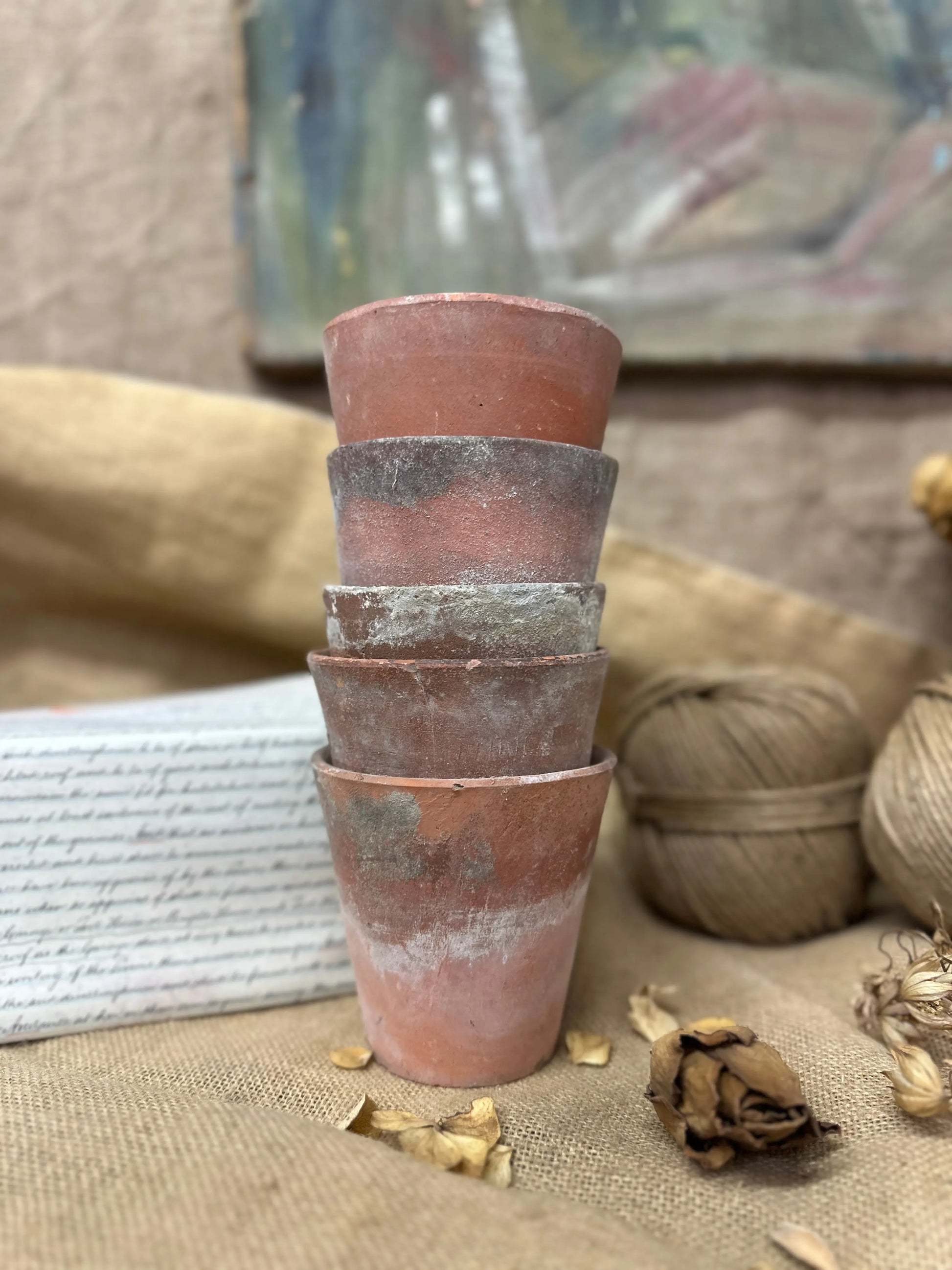 Antique Terracotta Seedling Plant Pots The Blind Mole