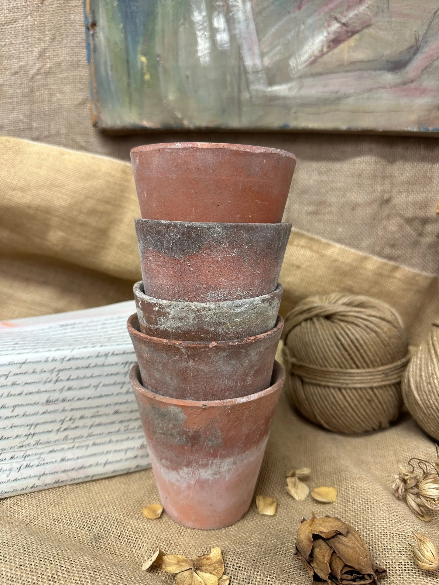 Antique Terracotta Seedling Plant Pots The Blind Mole