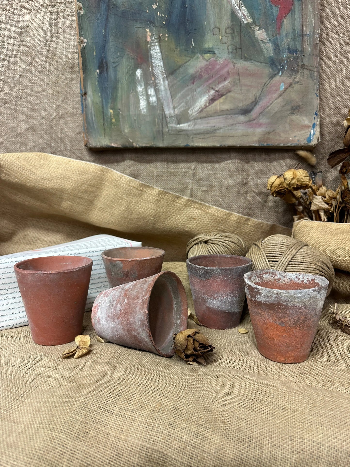 Antique Terracotta Seedling Plant Pots The Blind Mole