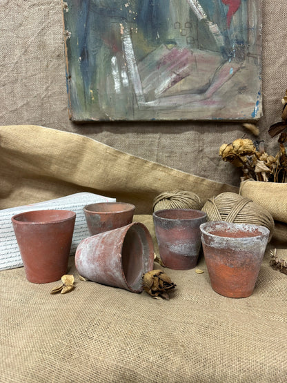 Antique Terracotta Seedling Plant Pots The Blind Mole
