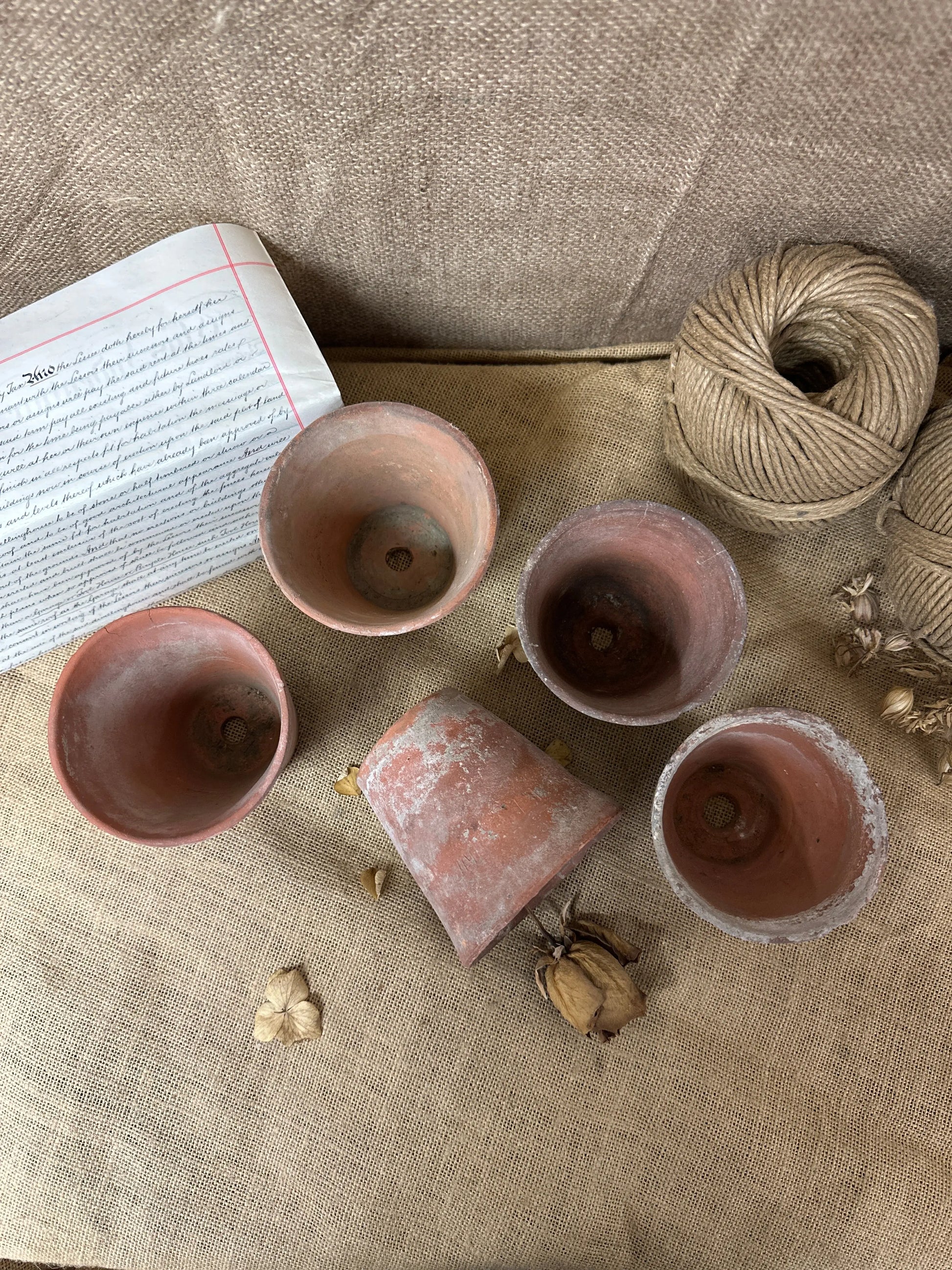 Antique Terracotta Seedling Plant Pots The Blind Mole