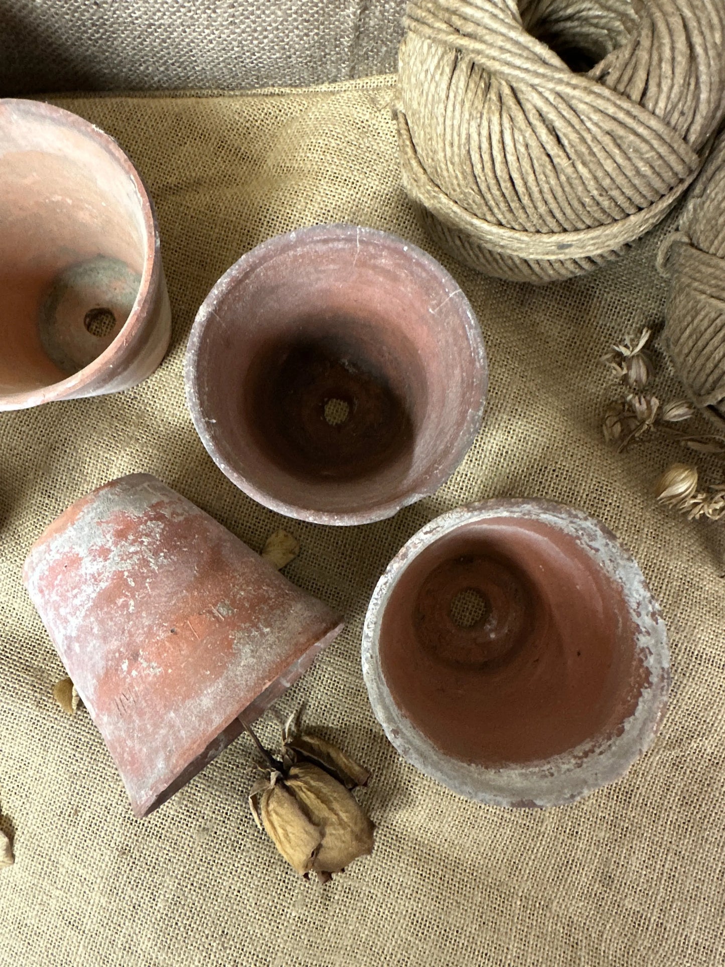 Antique Terracotta Seedling Plant Pots The Blind Mole