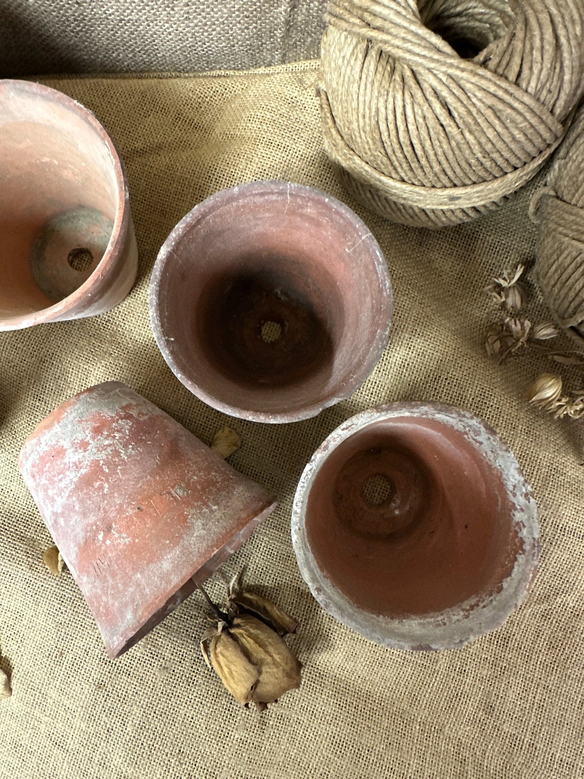 Antique Terracotta Seedling Plant Pots The Blind Mole
