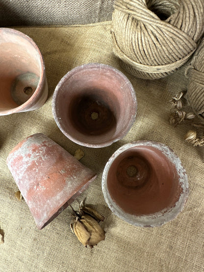 Antique Terracotta Seedling Plant Pots The Blind Mole
