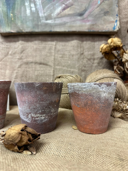 Antique Terracotta Seedling Plant Pots The Blind Mole