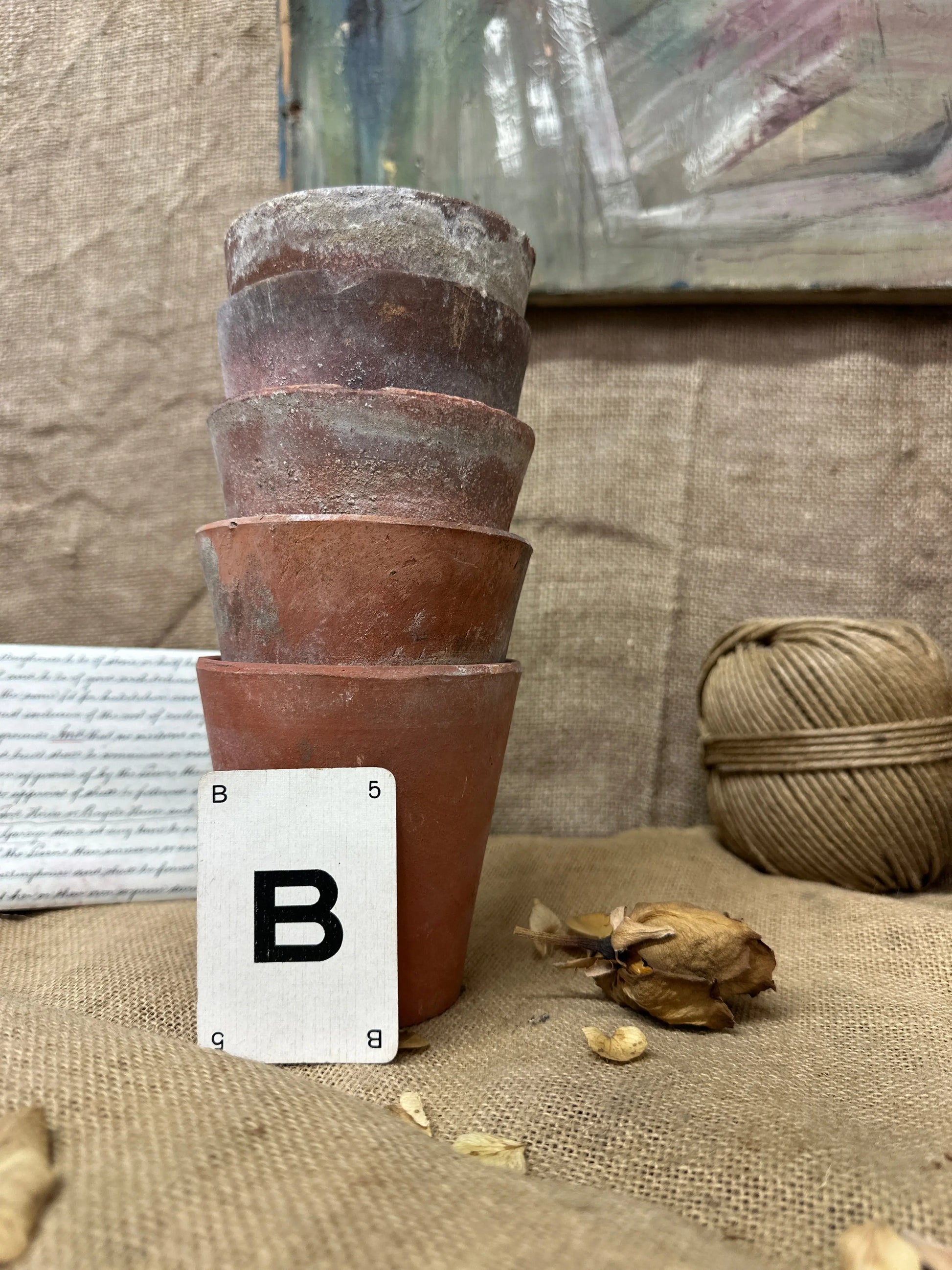 Antique Terracotta Seedling Plant Pots The Blind Mole
