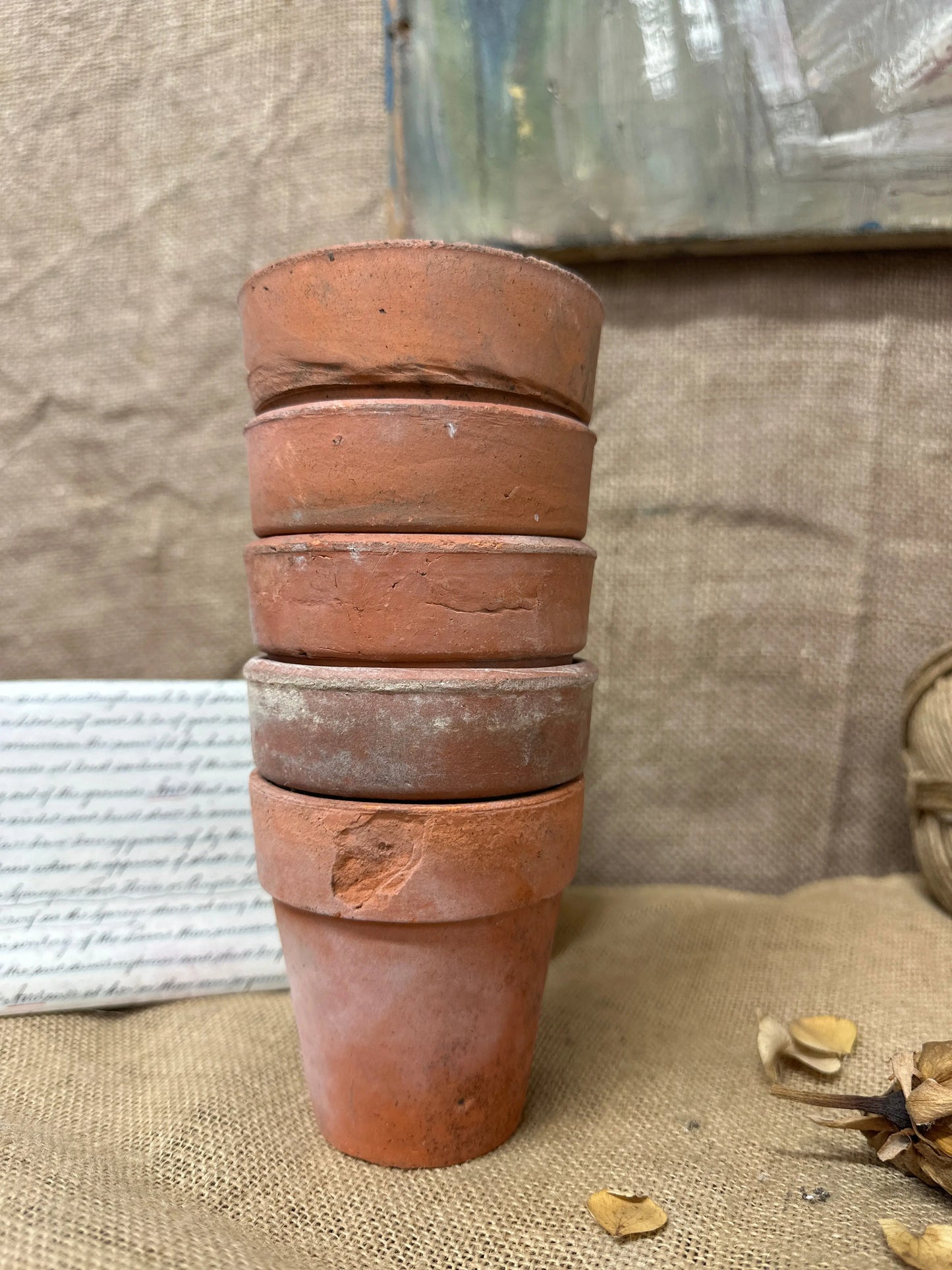 Antique Terracotta Seedling Plant Pots A The Blind Mole