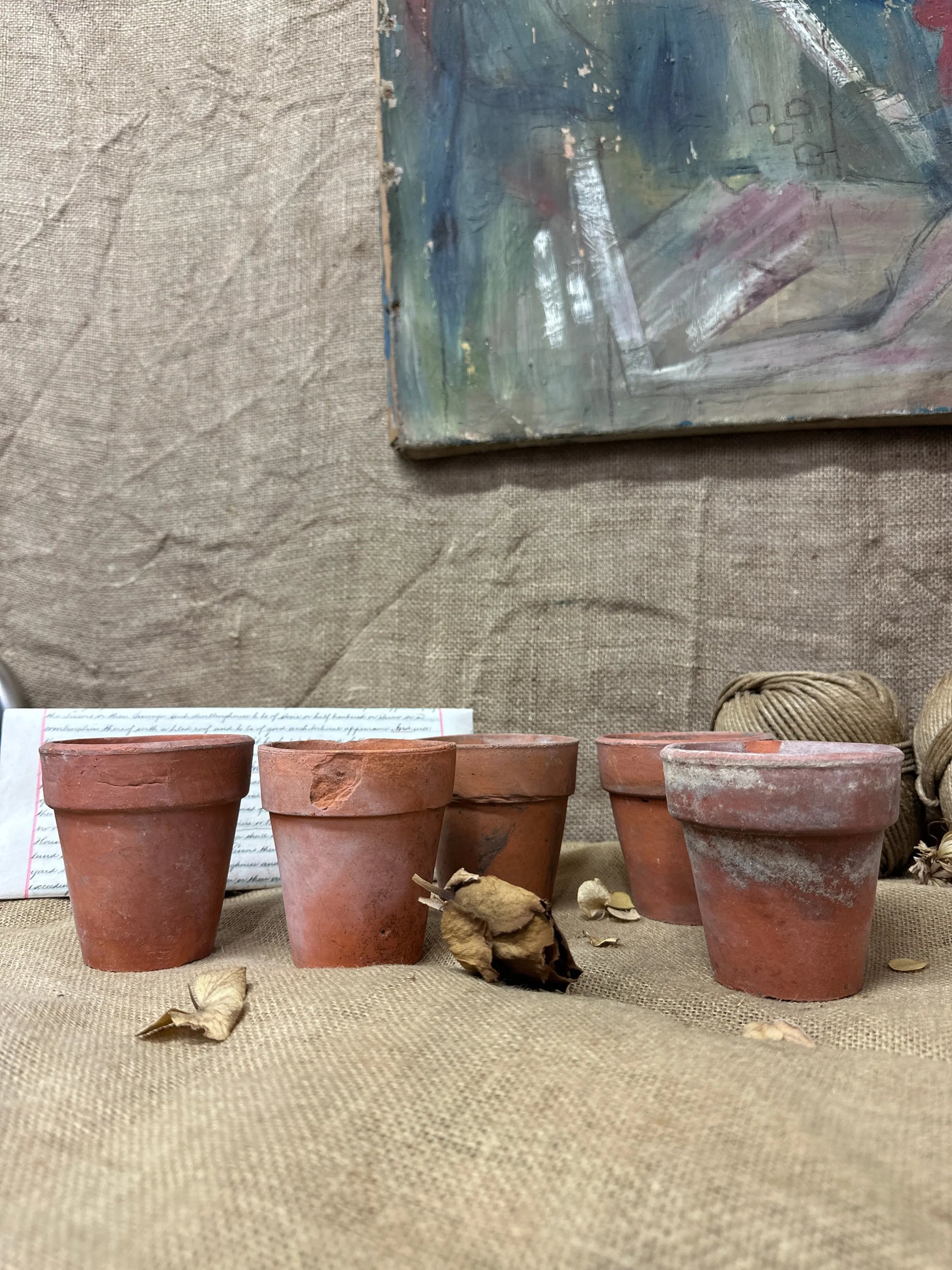 Antique Terracotta Seedling Plant Pots A The Blind Mole