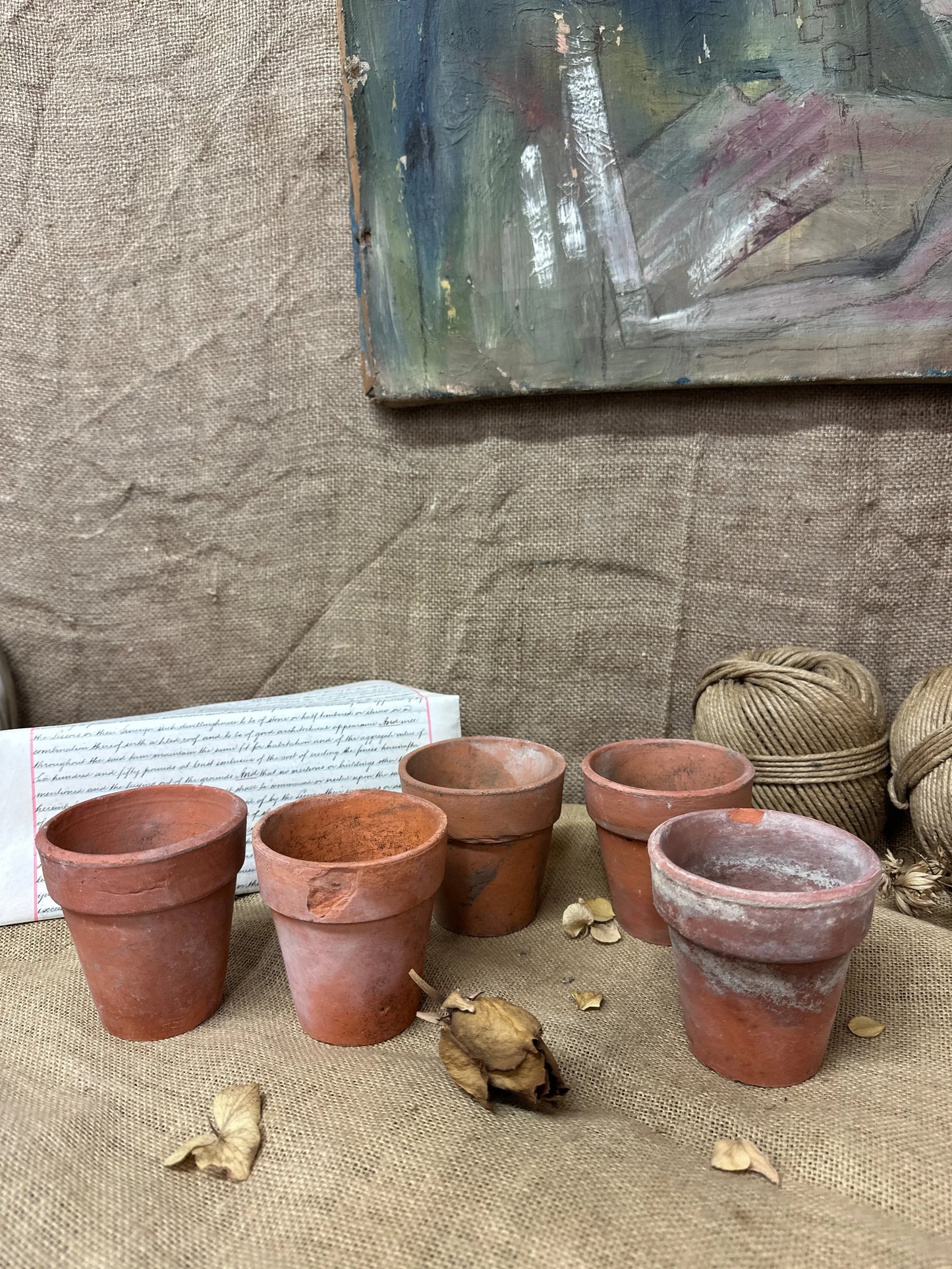 Antique Terracotta Seedling Plant Pots A The Blind Mole