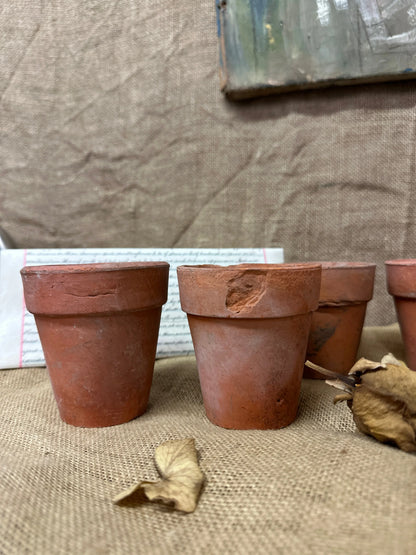 Antique Terracotta Seedling Plant Pots A The Blind Mole