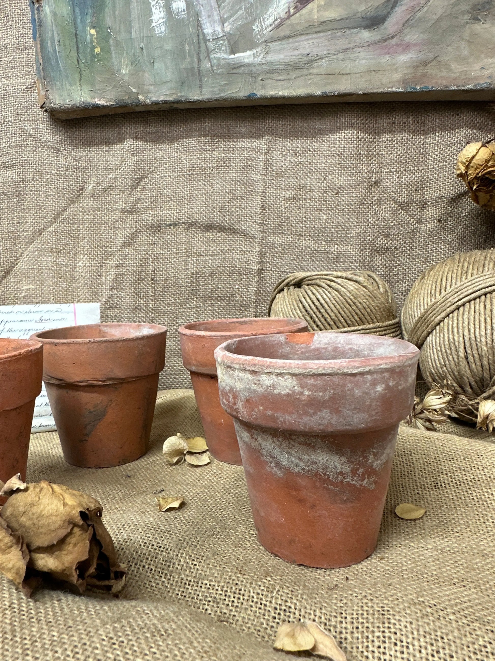Antique Terracotta Seedling Plant Pots A The Blind Mole